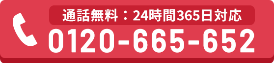 0120-665-652
